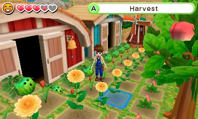 Harvest Moon Dorf des Himmelsbaumes im Test Ackern, ackern, ackern